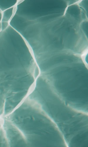 Ripples and sunlight reflection in water