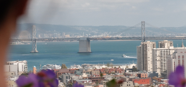 A view of the Bay Bridge from Ina Coolbrith Park