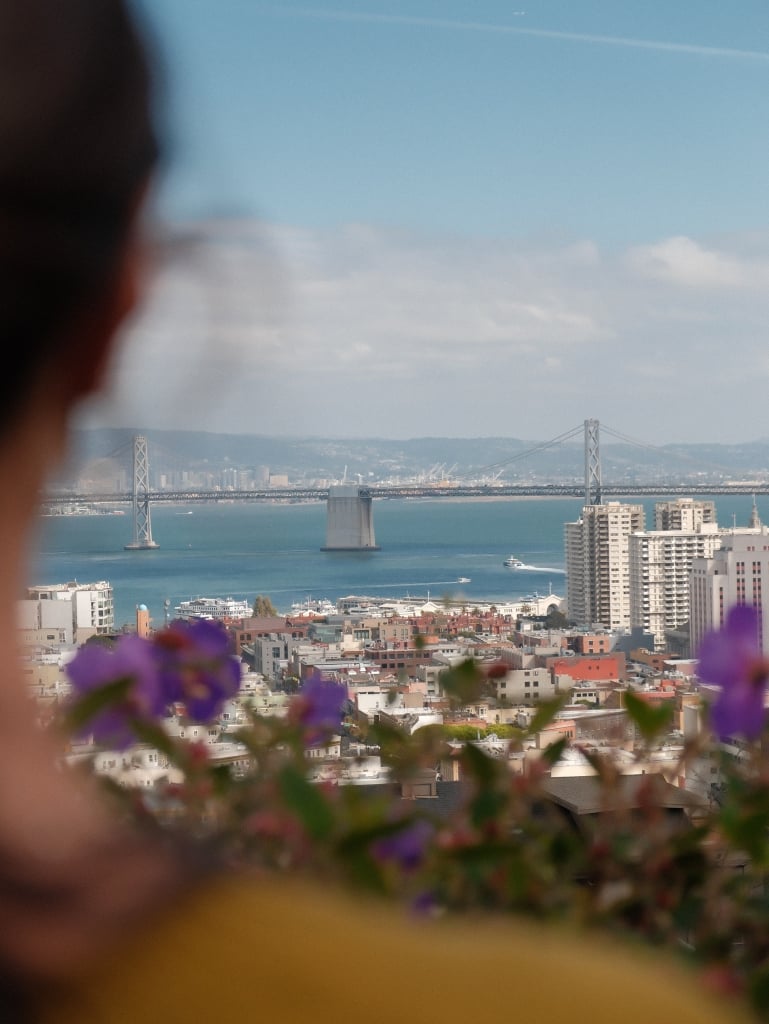 A view of the Bay Bridge from Ina Coolbrith Park